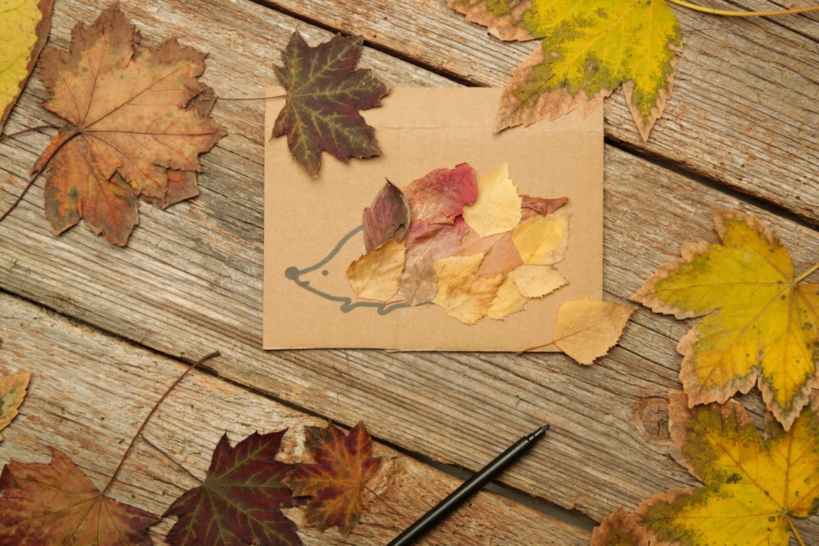 Un dessin de hérisson décoré de feuilles