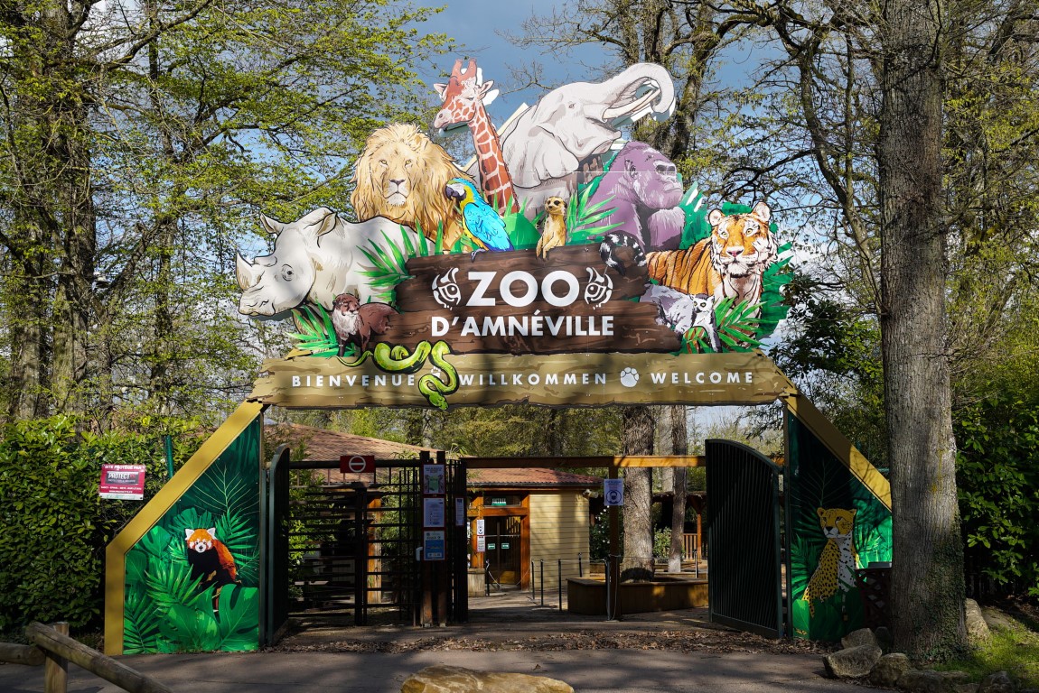Amnéville, l'un des zoos les plus connus au monde