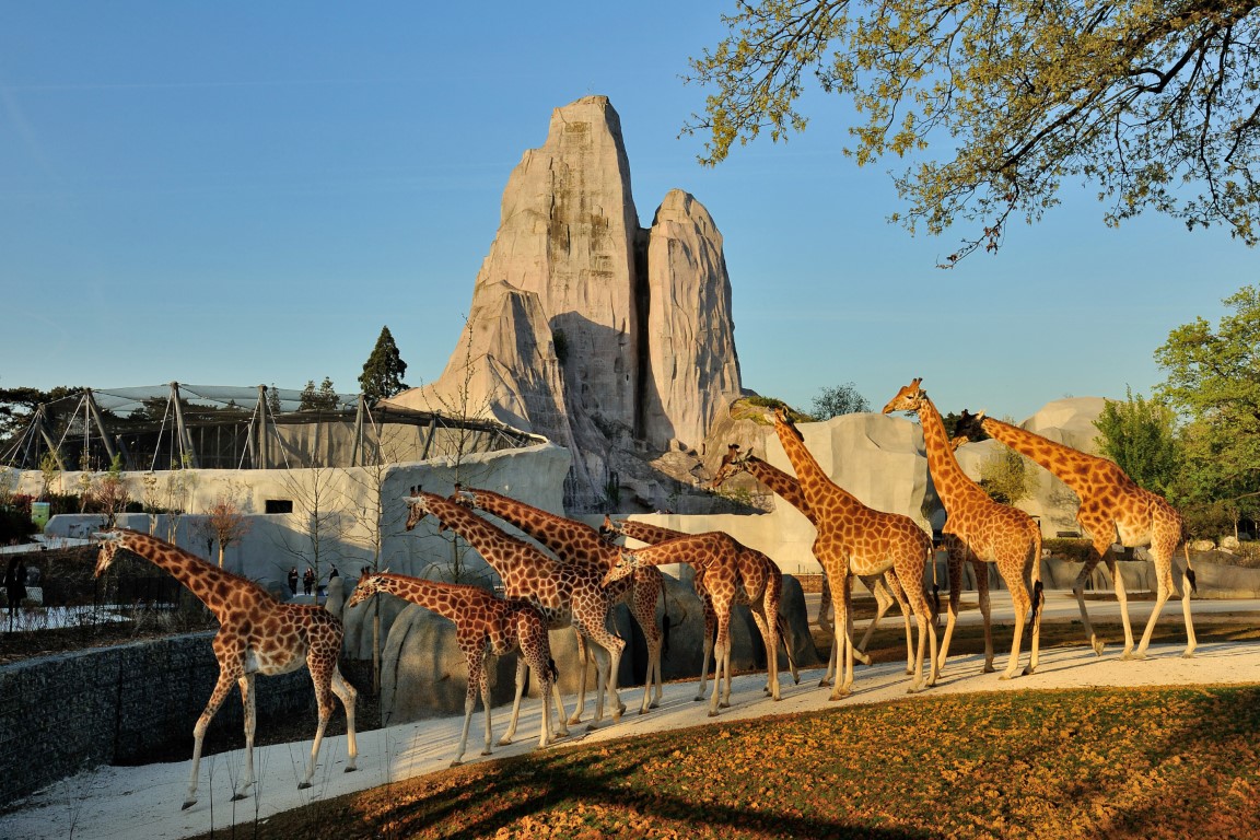 Le décor reconnaissable du Parc zoologique de Paris