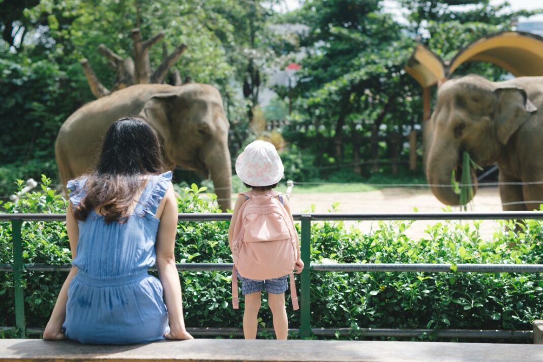 Visiter des zoos en famille